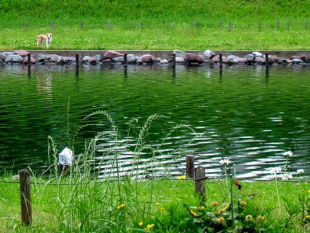 Copyright(c)2000$B!A(B Candybox All Rights Reserved